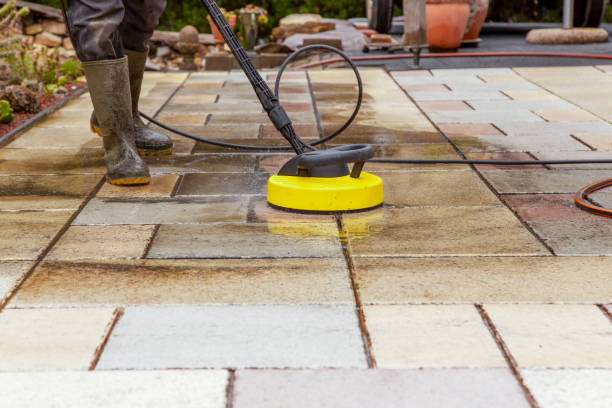 Best Building Exterior Washing  in Walnut Grove, CA